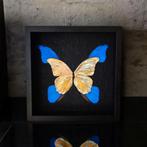 Echte didius vlinders 23ct goud verguld kunstwerk taxidermie, Ophalen of Verzenden