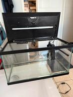 Volledig aquarium met toebehoren + 2 goudvissen, Ophalen, Gebruikt