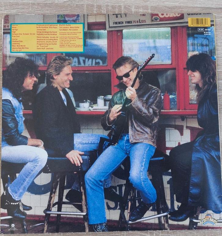 Vinyle 33T David Hallyday True cool année 1988, Cd's en Dvd's, Vinyl | Rock, Gebruikt, Ophalen of Verzenden