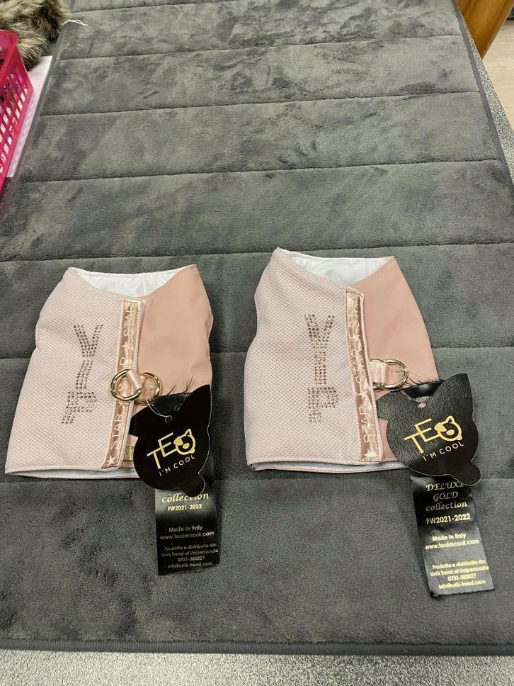 luxe harnasjes van het merk Teo aan outletprijs, Dieren en Toebehoren, Honden-accessoires, Nieuw, Ophalen of Verzenden