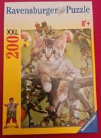Puzzel XXL : kat - kitten / 200 stukken / ravensburger, Hobby en Vrije tijd, Ophalen of Verzenden, Zo goed als nieuw