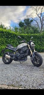 Benelli Leoncino 800, Motoren, 2 cilinders, 752 cc, Motorrijbewijs A, Particulier