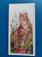 De Post folder - natuur -  katten 1993, Ophalen of Verzenden
