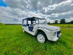 Méhari Azur, Auto's, Voorwielaandrijving, 4 zetels, 602 cc, Overige modellen