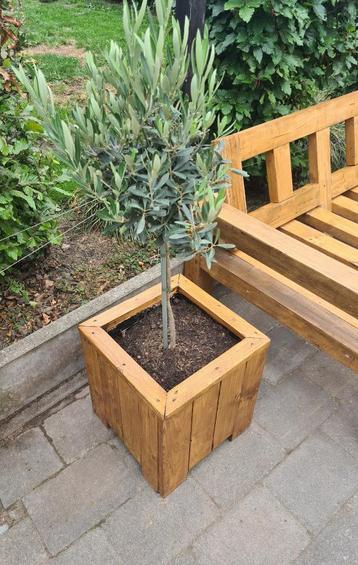 Plantenbak De Cube - stevig en natuurlijk - Op voorraad beschikbaar voor biedingen