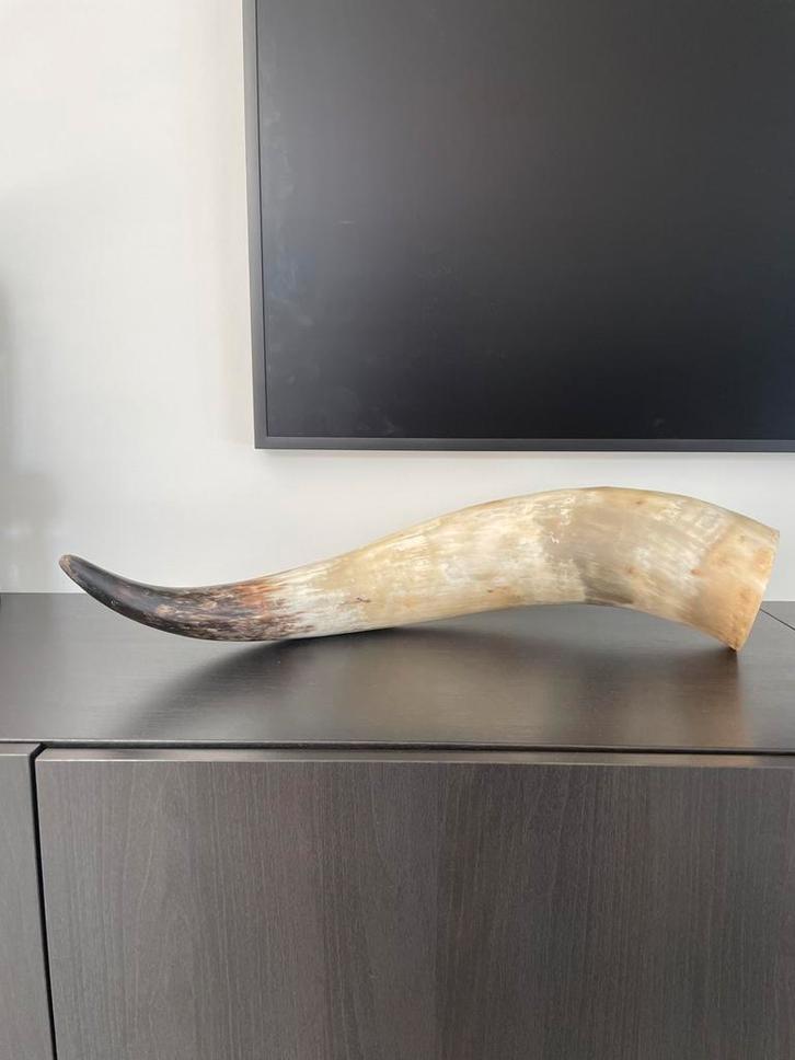 Watusirund rund hoorn, Huis en Inrichting, Woonaccessoires | Wanddecoraties, Zo goed als nieuw, Ophalen