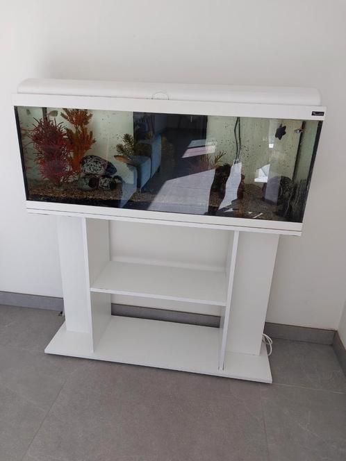Aquatlantis aquarium met degelijke centrale filterpomp,weers, Animaux & Accessoires, Poissons | Aquariums & Accessoires, Comme neuf