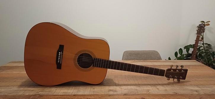 Recording King RD 06, Muziek en Instrumenten, Snaarinstrumenten | Gitaren | Akoestisch, Zo goed als nieuw, Ophalen of Verzenden