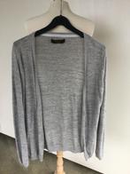 Gilet/gilet gris clair homme Jack & Jones, Vêtements | Hommes, Pulls & Vestes, Gris, Enlèvement ou Envoi, Comme neuf, Taille 48/50 (M)