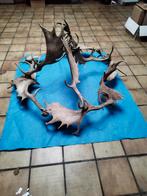 Luster, Ophalen, Gebruikt