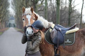Lieve haflinger ruin te koop! beschikbaar voor biedingen