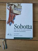 Sobotta hoofd, hals en neuroanatomie, Boeken, Ophalen of Verzenden, Gelezen, Hoger Onderwijs, Bohn,stafleu, van longhum