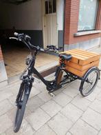 Elektrische driewieler, Fietsen en Brommers, Fietsen | Driewielfietsen, Ophalen, Gebruikt