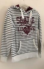 hoodie sweater Appel’s M medium, Apple’s, Ophalen of Verzenden, Gedragen, Maat 38/40 (M)