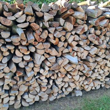 Bois de chauffage beschikbaar voor biedingen