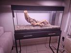 Jewel aquarium enkel nog te gebruiken als terrarium., Dieren en Toebehoren, Ophalen, Zo goed als nieuw