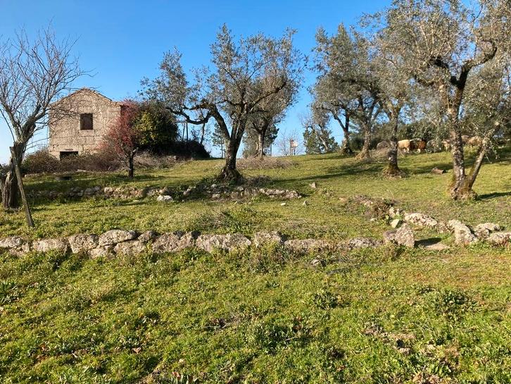 Portugees perceel (met geregistreerde ruïne en documenten), Immo, Buitenland, Portugal, Kavel of Perceel, Landelijk