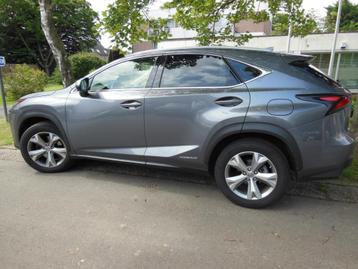LEXUS NX300H Executive - Bel état ! ! !, Autos, Argent ou Gris, Euro 6, Carnet d'entretien, Noir