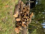Brandhout, Tuin en Terras, Brandhout, Ophalen, Stammen