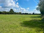 Weiland met omheining te koop, Immo, Arendonk, Verkoop zonder makelaar, 1500 m² of meer