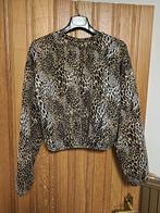 Kort truitje Zara - small, Enlèvement