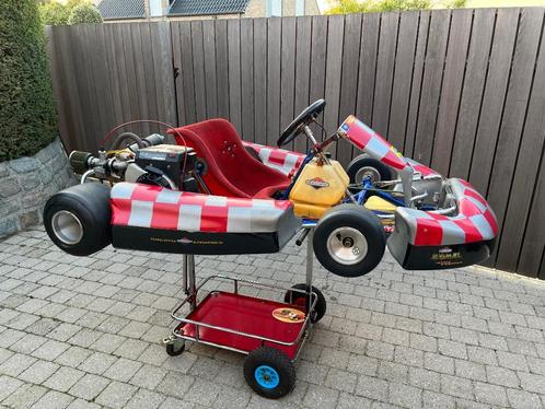 Alpha Kart Chassis + Briggs & Stratton World Formula Engine, Sport en Fitness, Karting, Gebruikt, Kart, Ophalen