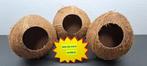 noix de coco complète, Dieren en Toebehoren, Ophalen of Verzenden, Nieuw, Plant(en), Steen of Hout