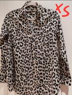 Amisu, maat 34, nieuwstaat, Enlèvement ou Envoi, Neuf, Taille 34 (XS) ou plus petite, Gris