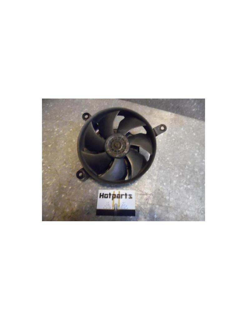 CBR900 2000 - 2001, 2002 - 2003 Honda Radiator D1-40903