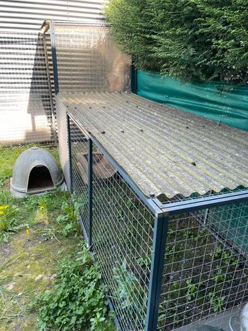 Kattenren te koop, Dieren en Toebehoren, Ophalen, Gebruikt