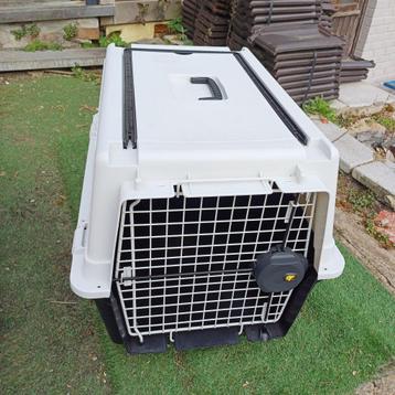 cage de transport rigide chien  beschikbaar voor biedingen