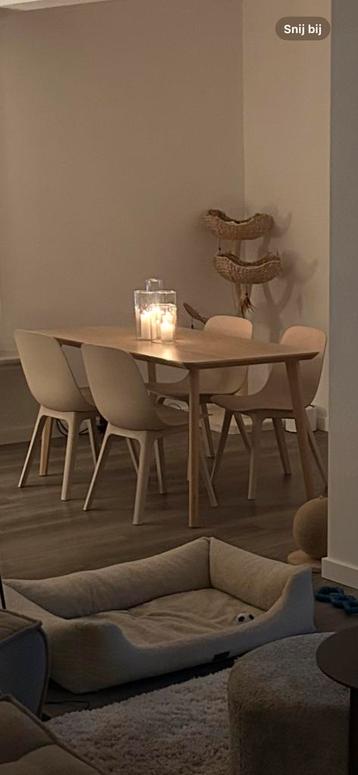 6 IKEA ODGER stoelen te koop beschikbaar voor biedingen