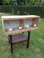 Houten kweekkooien, Ophalen, Gebruikt, Hout, Broedkooi of Kweekkooi