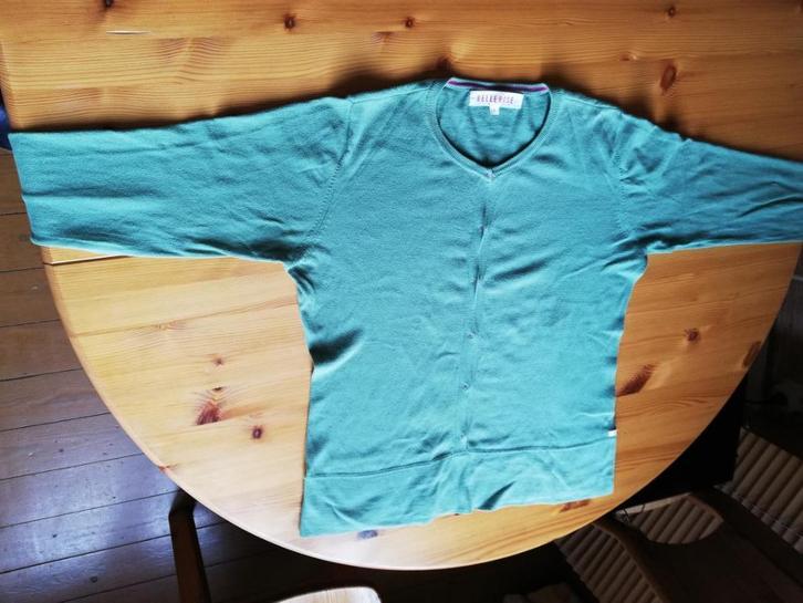 DAMES PULL 15 % WOL 85 % KATOEN, KLEUR MOSGROEN, BELLEROSE, Kleding | Dames, Truien en Vesten, Gedragen, Maat 38/40 (M), Groen