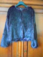 kleding, Kleding | Dames, JBC, Paars, Maat 42/44 (L), Ophalen of Verzenden