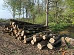 Eiken stammen te koop – ideaal voor brandhout, Tuin en Terras, Brandhout, 6 m³ of meer, Ophalen of Verzenden, Eikenhout, Stammen