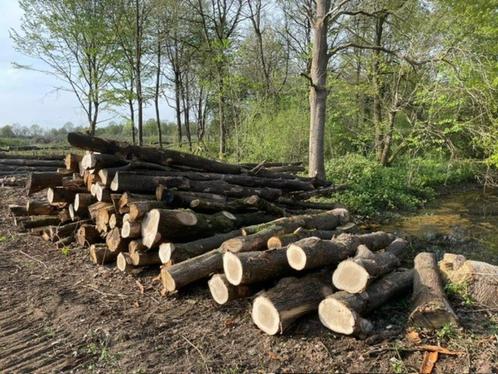 Eiken stammen te koop – ideaal voor brandhout, Tuin en Terras, Brandhout, Stammen, Eikenhout, 6 m³ of meer, Ophalen of Verzenden