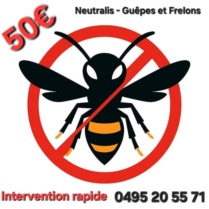 Neutralisation ni de guêpes et de frelons-Namur-Charleroi.., Diensten en Vakmensen, Ongediertebestrijding