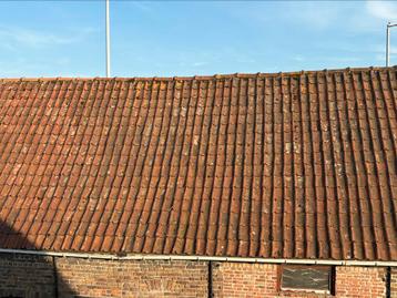 Boomse Pannen (ca. 2669 stuks, +/- 157 m²) - €1 per stuk beschikbaar voor biedingen