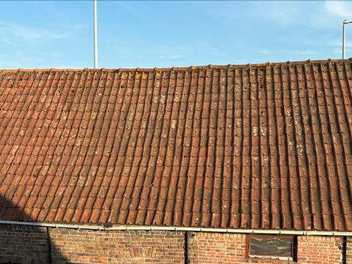 Boomse Pannen (ca. 2669 stuks, +/- 157 m²) - €1 per stuk, Doe-het-zelf en Bouw, Dakpannen en Dakbedekking, Gebruikt, Dakpannen