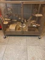 Degoes te koop, Ophalen, Zo goed als nieuw, Kooi