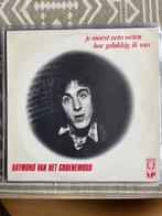 Raymond vh Groenewoud - je moest eens weten hoe ..., Ophalen of Verzenden, Gebruikt, Rock