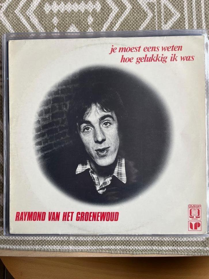 Raymond vh Groenewoud - je moest eens weten hoe ..., Cd's en Dvd's, Vinyl | Nederlandstalig, Gebruikt, Rock, Ophalen of Verzenden