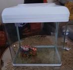 Aquarium complets 40 litre, Enlèvement ou Envoi