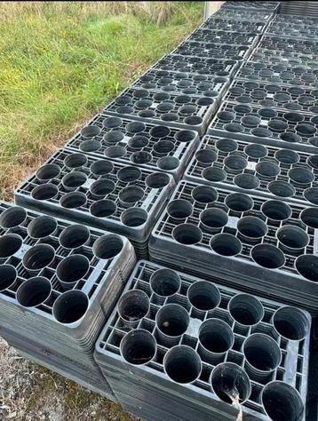 Mara planten trays  beschikbaar voor biedingen