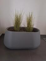 Plantenbak binnen / buiten, Tuin en Terras, Bloempotten, Ophalen, Nieuw, Tuin