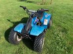 Quad Suzuki LT50 - Kinderquad, Motoren, 1 cilinder