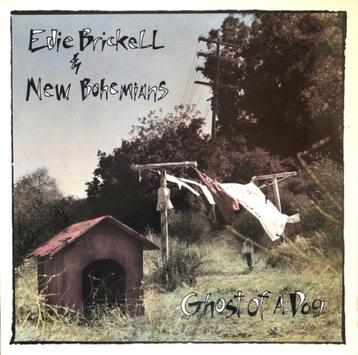 Edie brickell & new bohemians: ghost of a dog beschikbaar voor biedingen