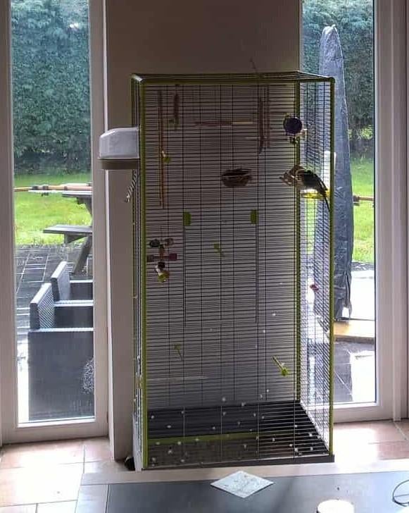 Volière, Animaux & Accessoires, Enlèvement, Utilisé