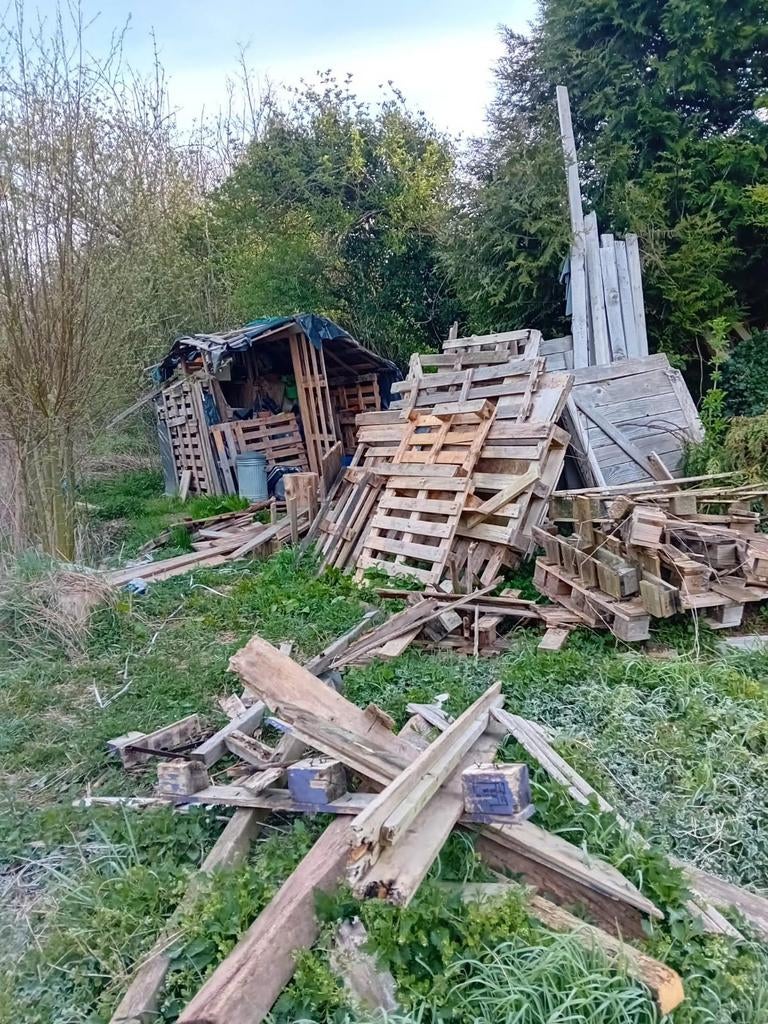 Bois a donner, Jardin & Terrasse, Bois de chauffage, Enlèvement, Autres essences de bois